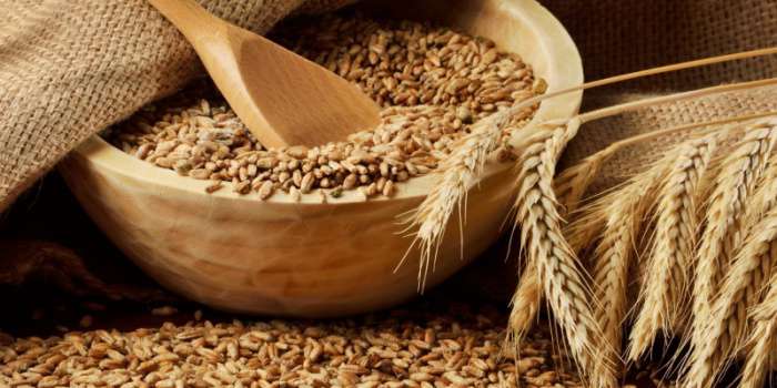 Україна може збільшити експорт зерна до 36 мільйонів тонн