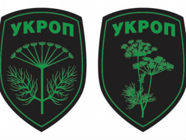 Коломойський вкрав логотип “Укропу”, але швидко домовився з художником (ФОТО)