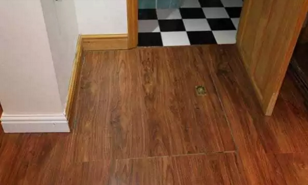 У новій квартирі він виявив двері в підлозі. Куди вони ведуть? Якось моторошно! (ФОТО)