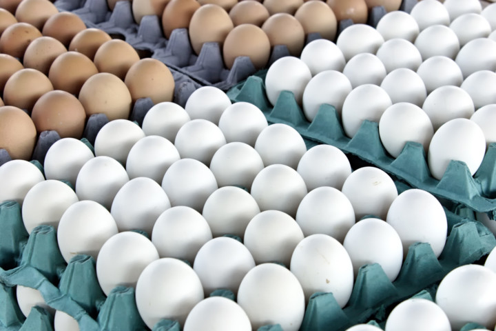 Чим відрізняються коричневі яйця від білих. І ще 9 фактів про яйця