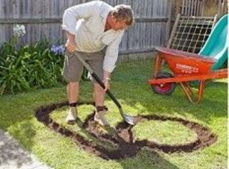 Він викопав у саду жолобки дивної форми … Тепер я заздрю ​​його дітям!