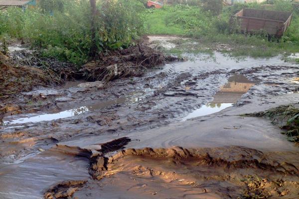 На Тернопільщині стихія знищила понад 3 тисячі гектарів посівів
