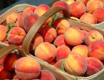В Україні виявили заражені персики з Польщі