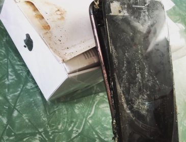 Мобільна панацея: новий IPhone 7 загорівся у руках