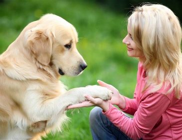 Вчені з’ясували, чому собака – кращий друг людини
