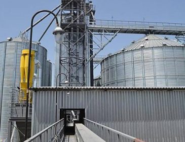 Швейцарці побудують зерновий термінал в Україні