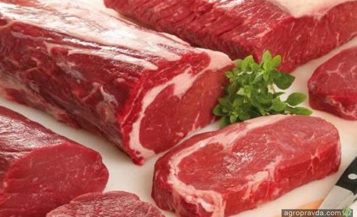 Україна відкрила ринок Єгипту для яловичини