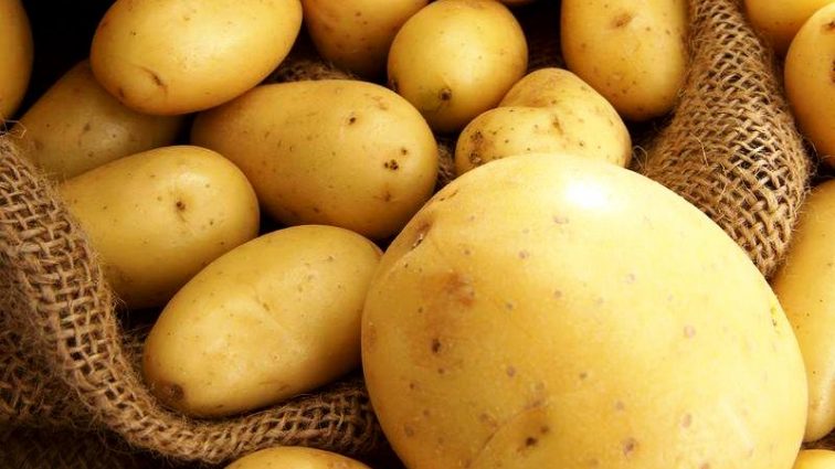 Білорусь скупила в України всю експортну картоплю