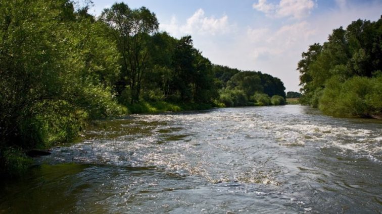 Яку небезпеку несуть найбільш забруднені річки України (фото)