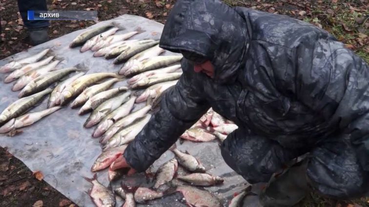“184 тонни незаконної риби …” – В Україні почастішають перевірки рибалок. Вже працює 21 патруль