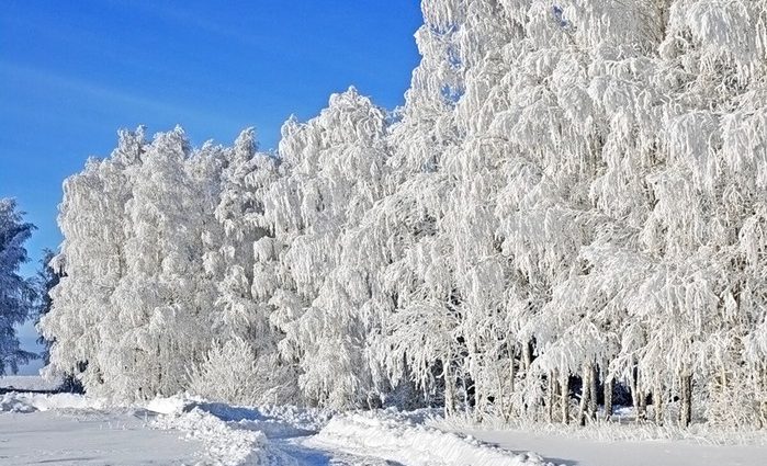 Вісник зими: в Україні подекуди випаде сніг