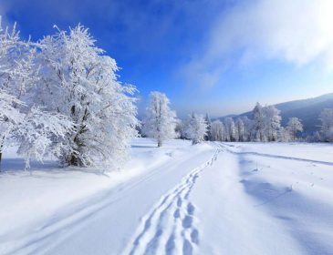 Холодна погода- це не привід сидіти вдома!: дізнайтеся найкращі місця в Україні для відпочинку взимку