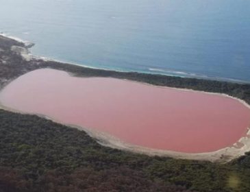 “Не треба їхати в Ізраїль”: унікальне рожеве озеро на Херсонщині, що не має аналогів у світі